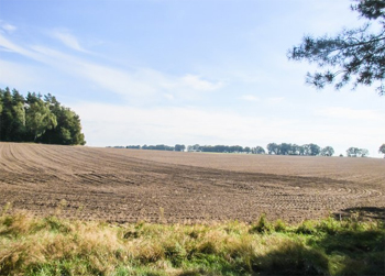  U naturi vratiti zemlju i šume 