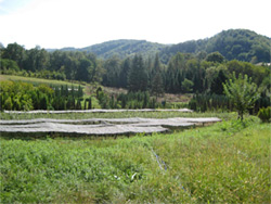  Niš, 16.9.2010. godine 