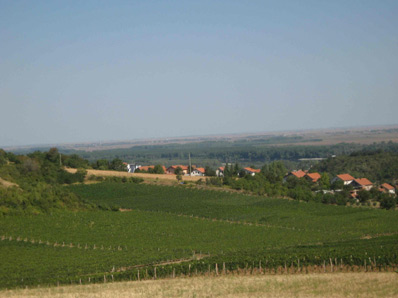  Sremski Karlovci, 16.9.2011. godine  